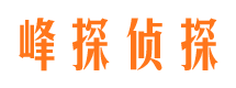 平武市私家侦探